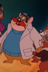 سنجب وسنجوب: كتيبة النجدة الموسم 2 الحلقة 30