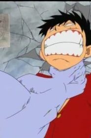 ون بيس: 1×43