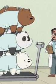 الدببة الثلاثة الموسم 2 الحلقة 4