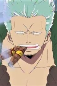 ون بيس: 1×48