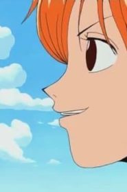 ون بيس: 1×44