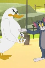 Tom and Jerry in New York الموسم 1 الحلقة 1