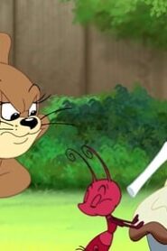 Tom and Jerry Tales الموسم 2 الحلقة 21