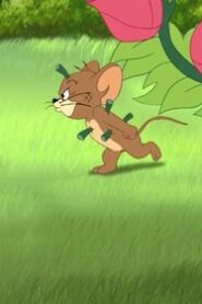 Tom and Jerry Tales الموسم 2 الحلقة 8