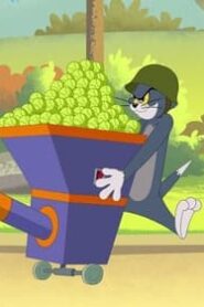 Tom and Jerry in New York الموسم 1 الحلقة 7