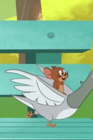 Tom and Jerry in New York الموسم 1 الحلقة 13