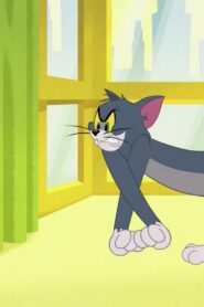 Tom and Jerry in New York الموسم 1 الحلقة 12