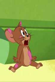 Tom and Jerry in New York الموسم 1 الحلقة 11