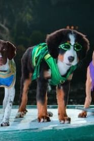 Super PupZ: 1×7