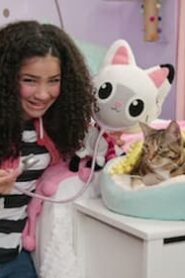 Gabby’s Dollhouse: 3×7