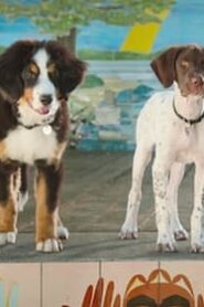 Super PupZ: 1×1