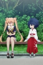 Island: 1×6