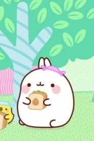 Molang: 4×48