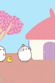 Molang: 4×26