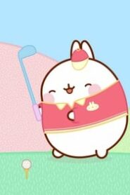 Molang: 4×24