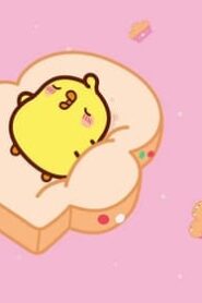 Molang: 4×50