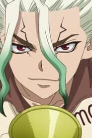 دكتور ستون: 3×11