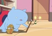 Bravest Warriors: 3×2