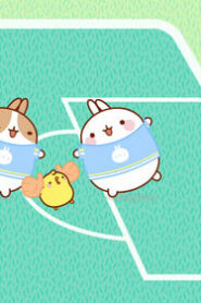 Molang: 4×36