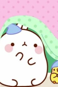 Molang: 4×45