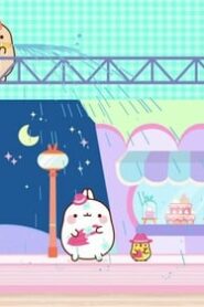 Molang: 4×35