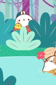 Molang: 4×39