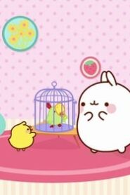 Molang: 4×32
