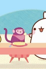 Molang: 4×34