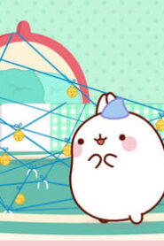 Molang: 4×40