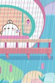 Molang: 4×29