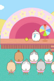 Molang: 4×25