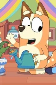 Bluey: 1×47