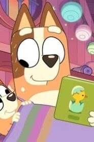 Bluey: 2×26