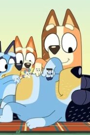 Bluey: 1×21