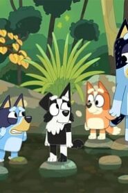 Bluey: 1×29