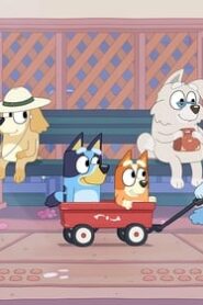 Bluey: 1×24