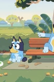 Bluey: 1×11