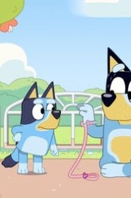 Bluey: 1×50