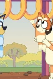 Bluey: 2×50