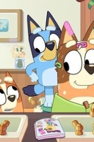 Bluey: 2×5