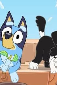 Bluey: 2×25