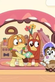 Bluey: 1×41
