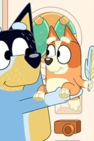 Bluey: 2×3