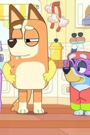 Bluey: 1×28