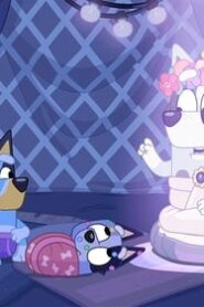 Bluey: 1×32