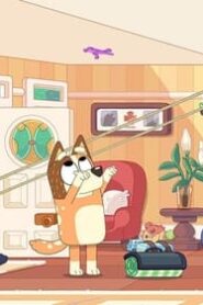 Bluey: 2×12