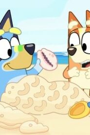 Bluey: 1×26