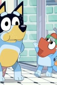 Bluey: 1×46