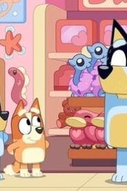 Bluey: 2×37