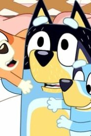Bluey: 1×10